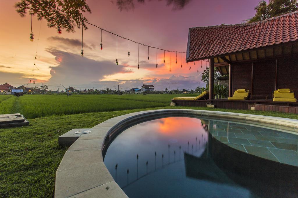 Big Brother Surf Inn Canggu Buitenkant foto
