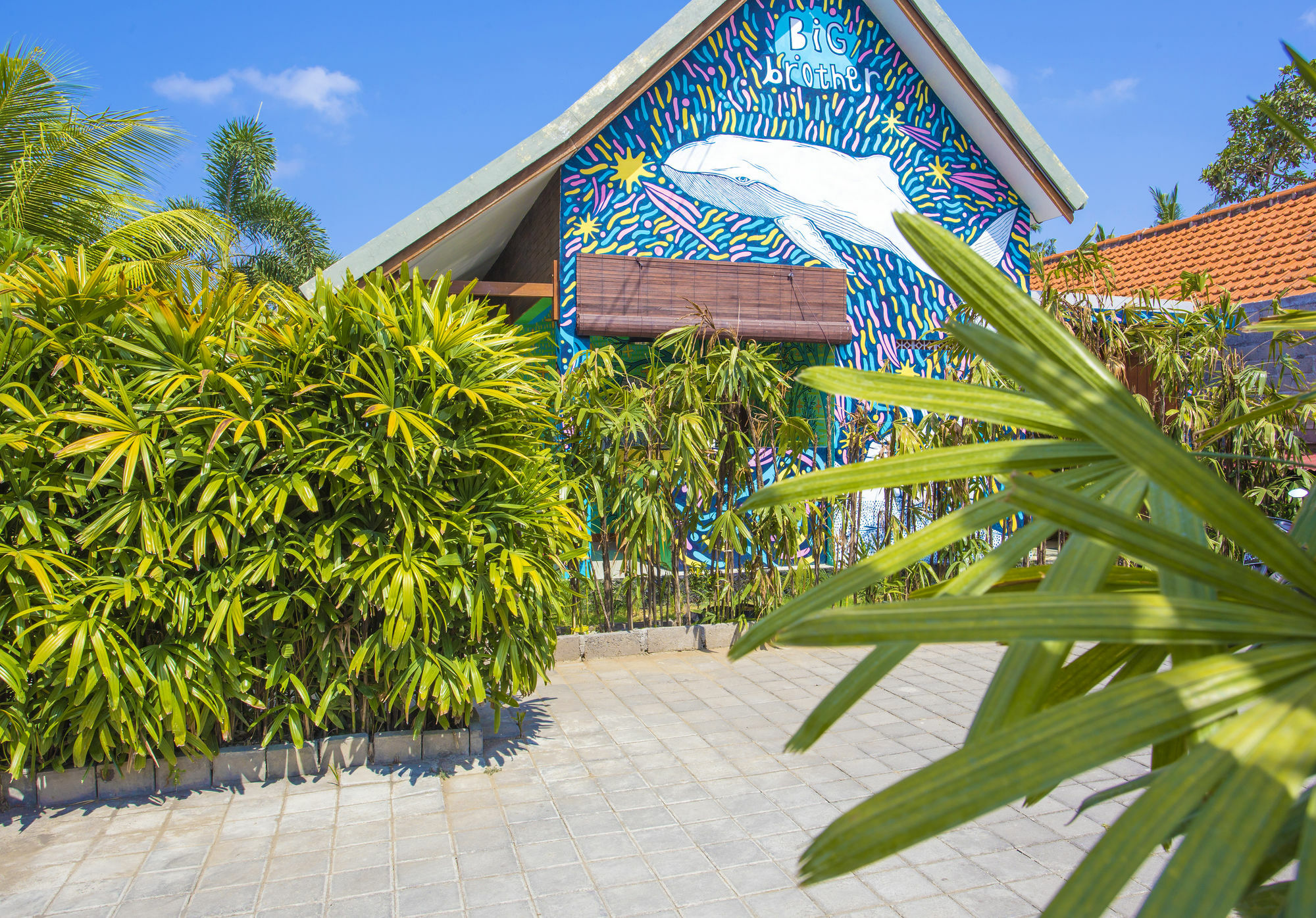 Big Brother Surf Inn Canggu Buitenkant foto