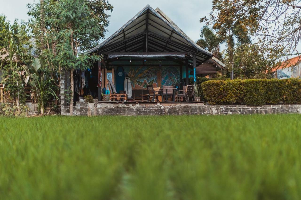 Big Brother Surf Inn Canggu Buitenkant foto